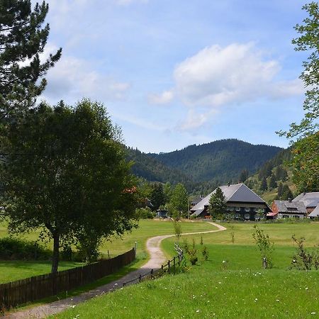 Ferienwohnungen Sternenthal Menzenschwand Exterior foto