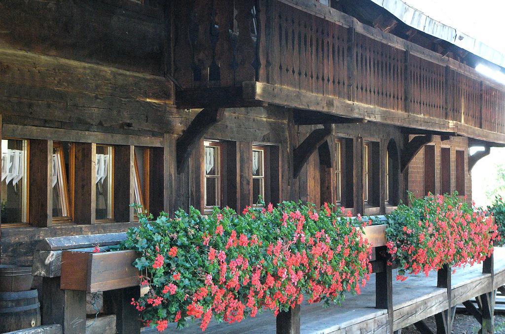 Ferienwohnungen Sternenthal Menzenschwand Exterior foto