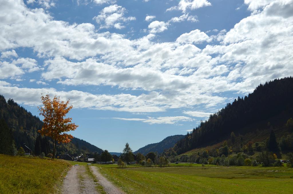 Ferienwohnungen Sternenthal Menzenschwand Exterior foto