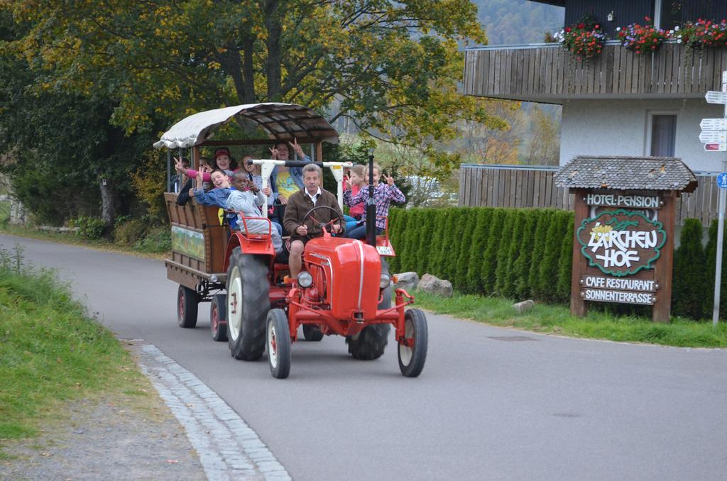 Ferienwohnungen Sternenthal Menzenschwand Exterior foto