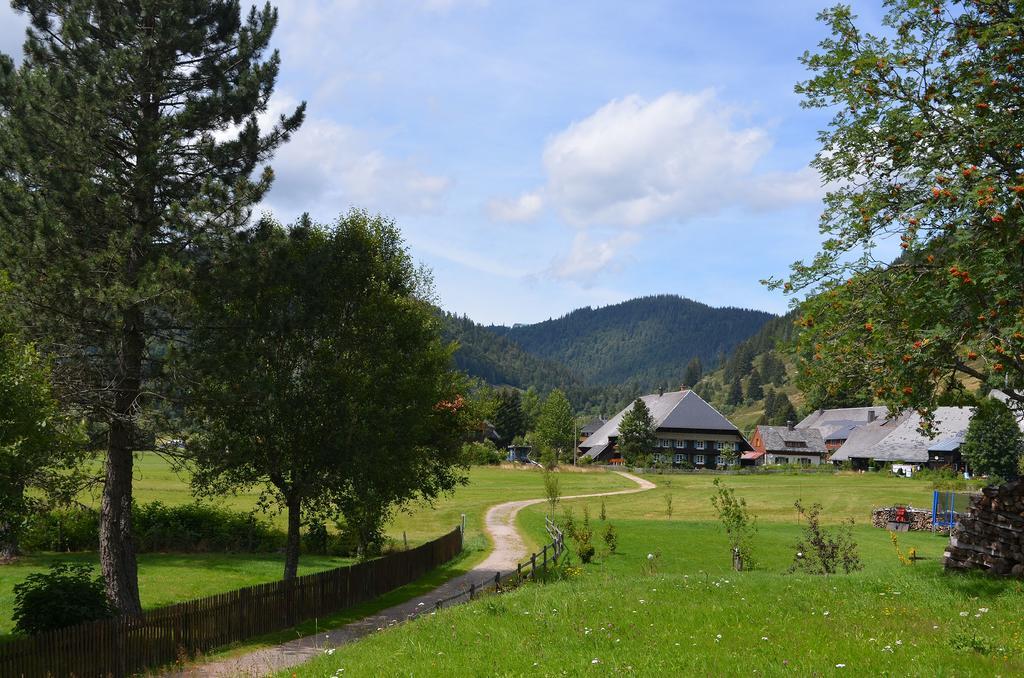 Ferienwohnungen Sternenthal Menzenschwand Exterior foto