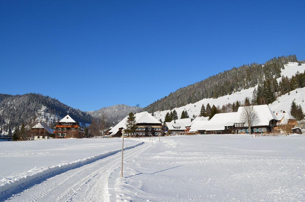 Ferienwohnungen Sternenthal Menzenschwand Exterior foto