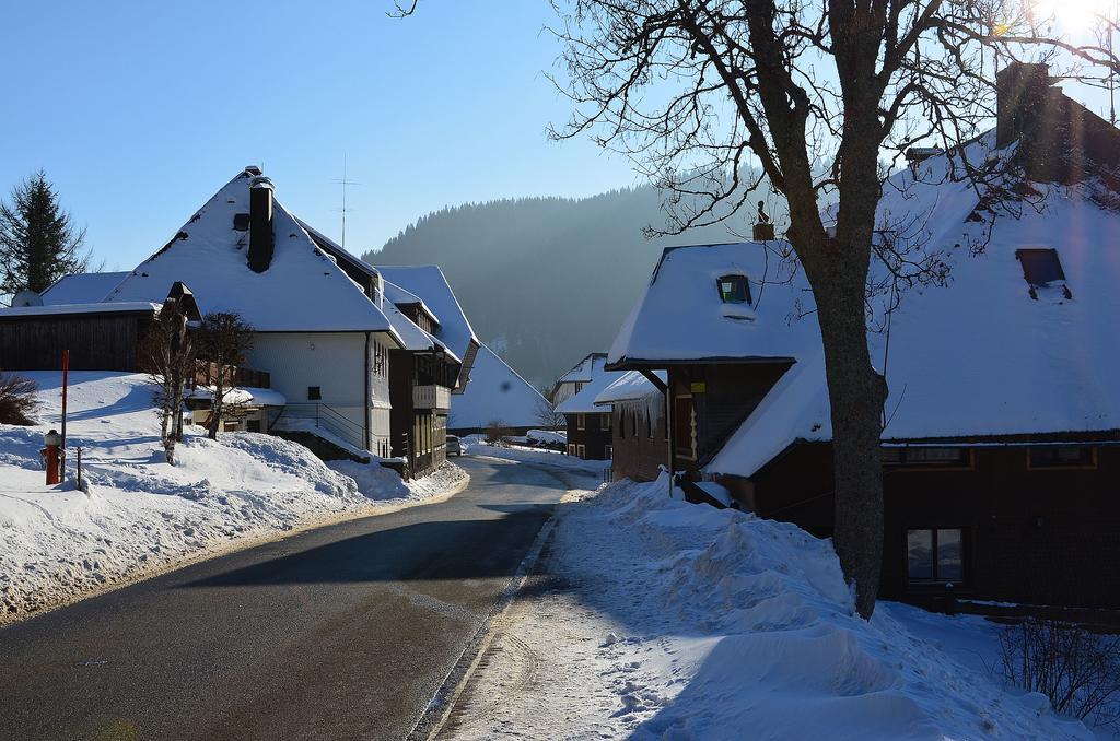Ferienwohnungen Sternenthal Menzenschwand Exterior foto