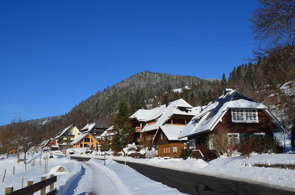 Ferienwohnungen Sternenthal Menzenschwand Exterior foto